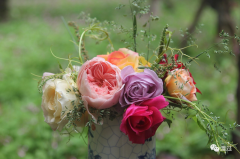 一位心理咨询师如何战胜产后抑郁||渡过